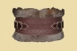 Preview: Barbarian Belt "Thorgal"