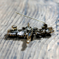 Preview: Brooch "La Fadette"
