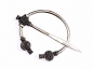 Preview: Thistle Fibula