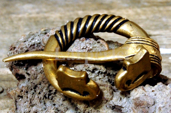 Kleine Ringfibel