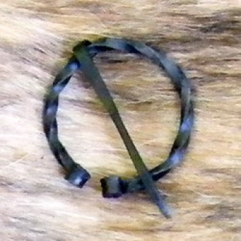 Kleine tordierte Hufeisenfibel